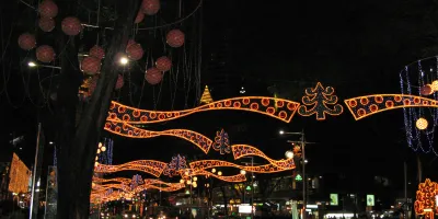 Singapore Orchard