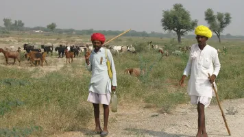 Bishnoi Villager