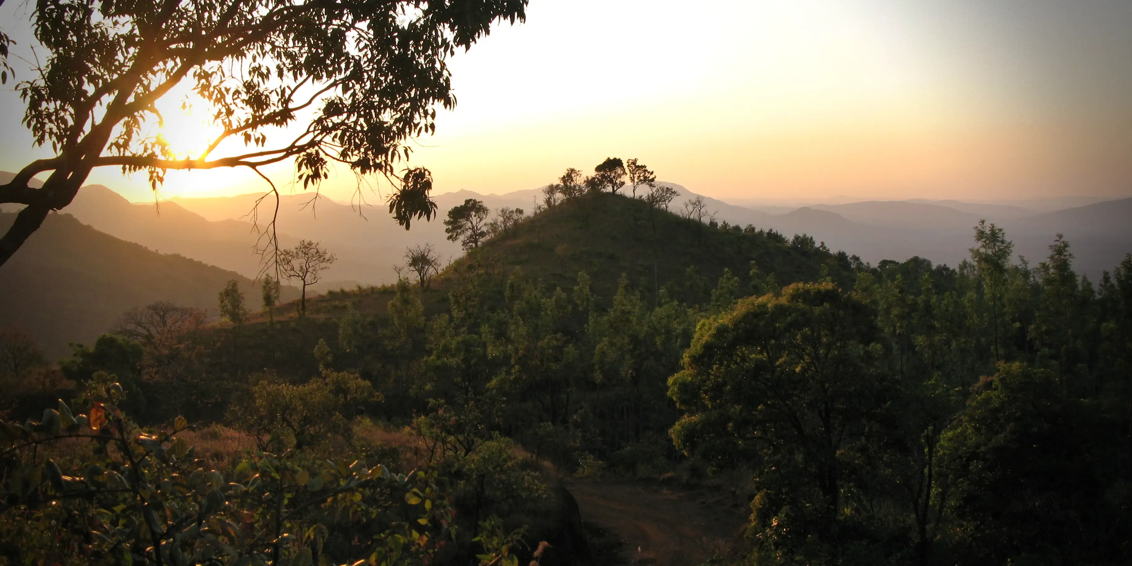 A Golden Sunset Western Ghat