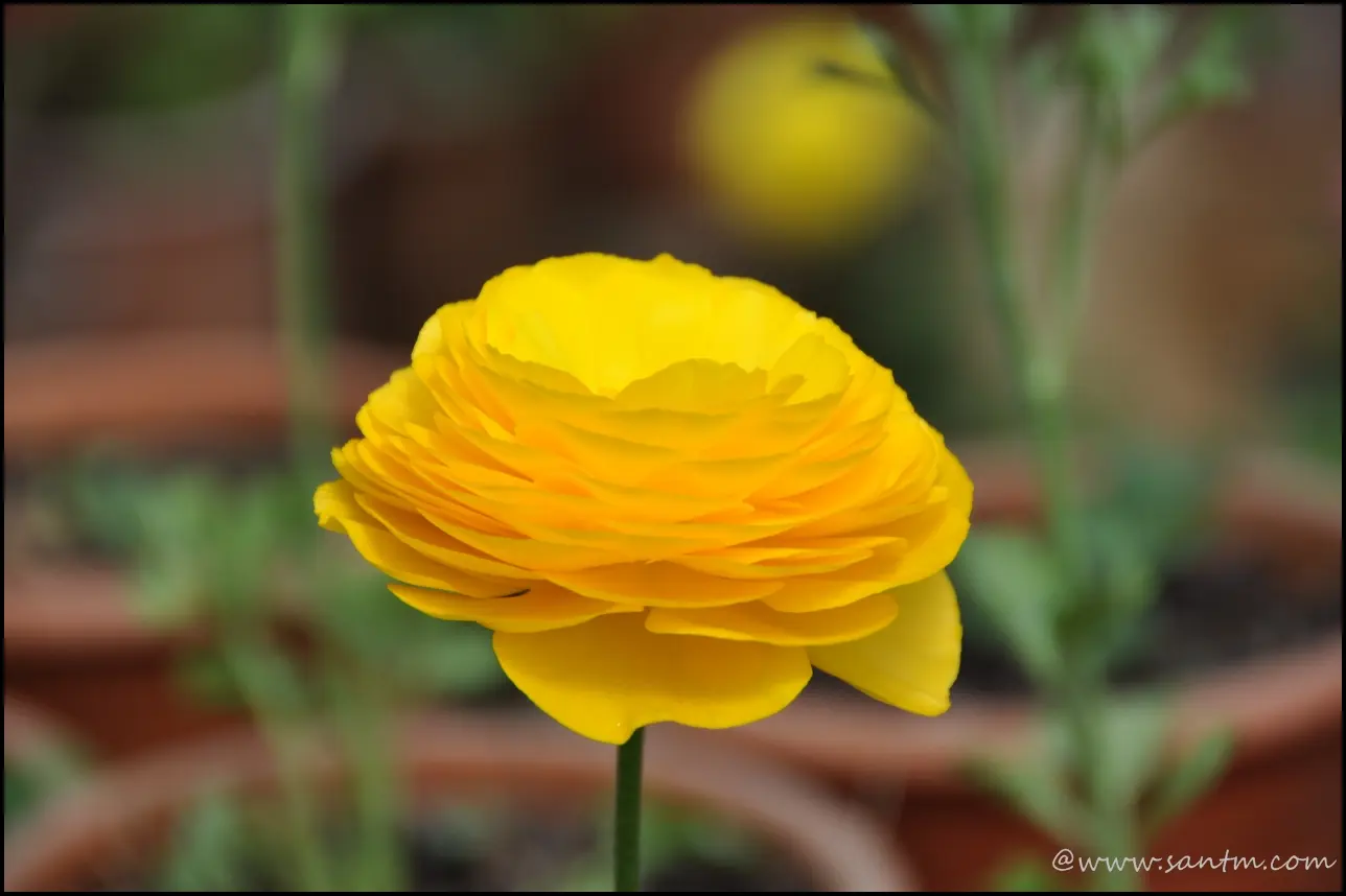 Image 32