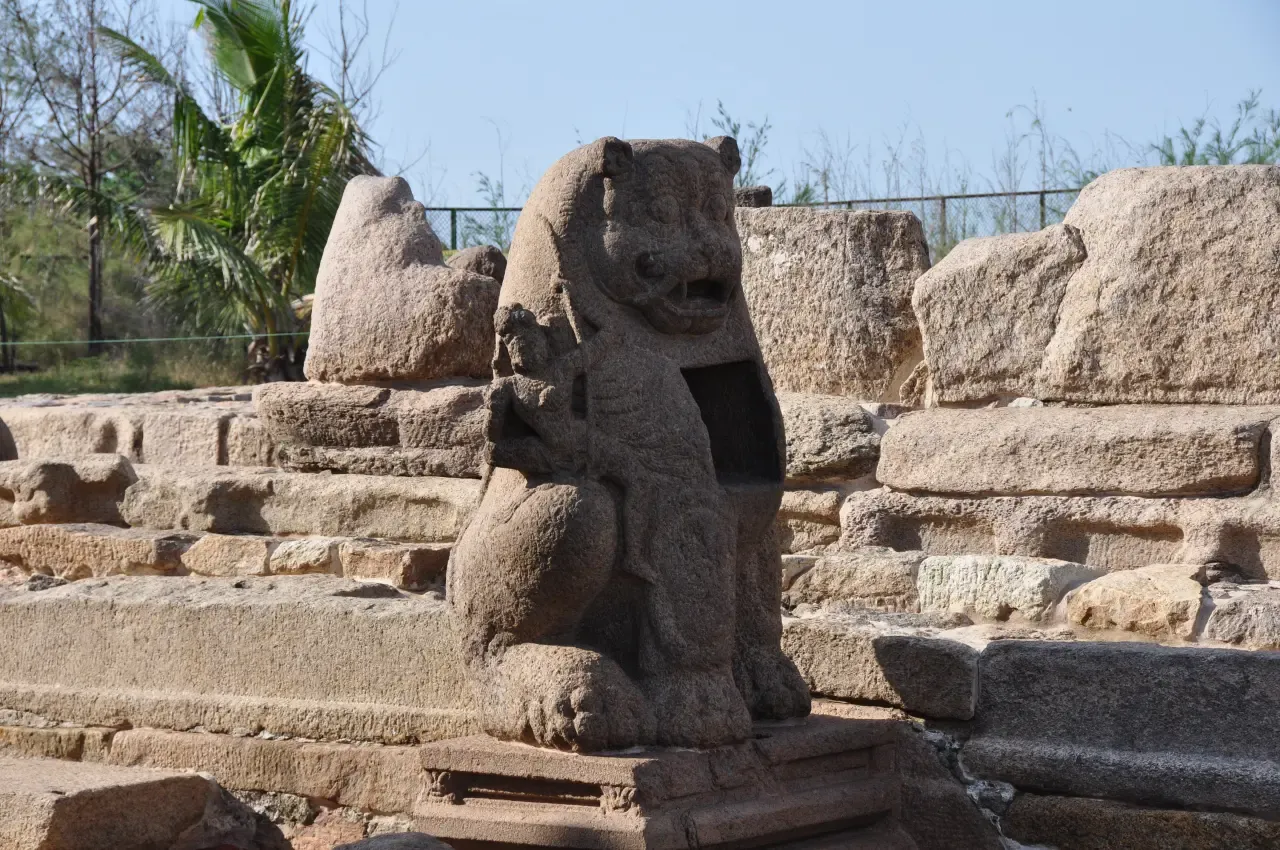 Image 7