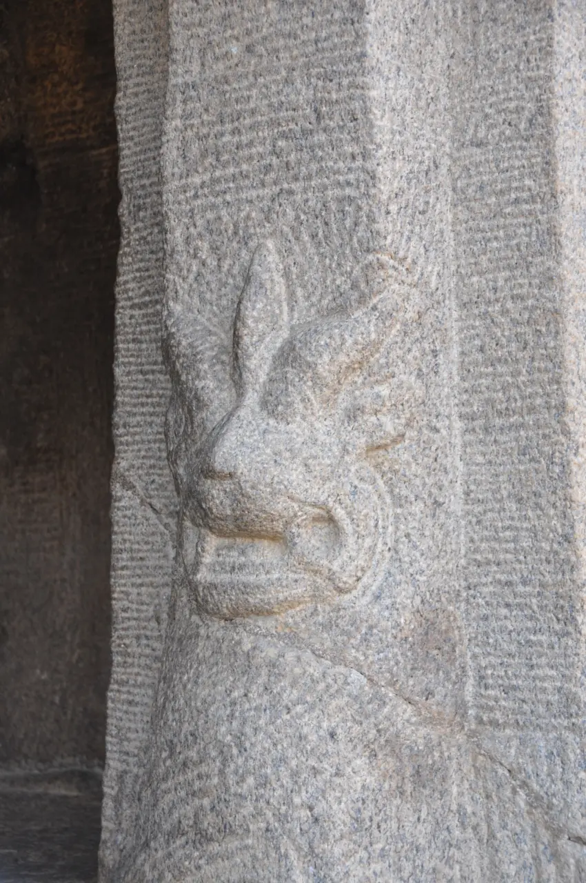 Image 24