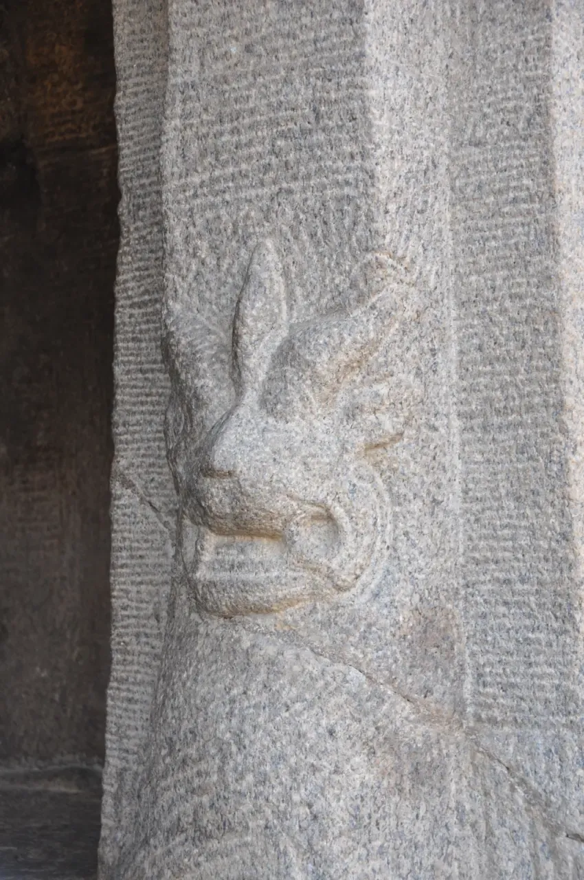 Image 24