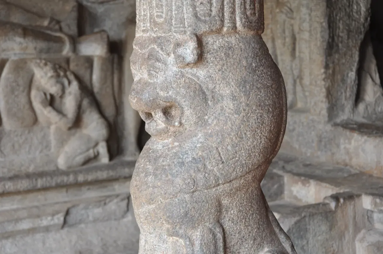 Image 36