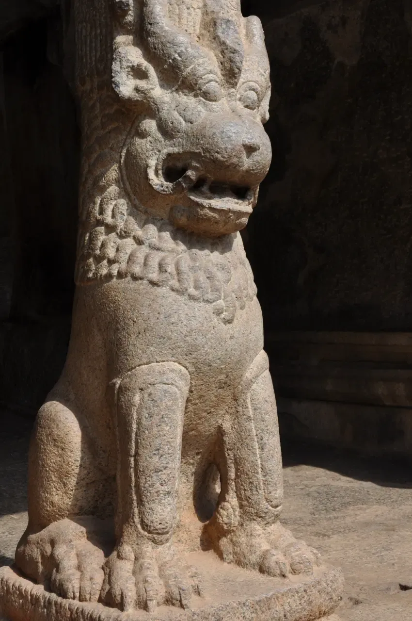 Image 43