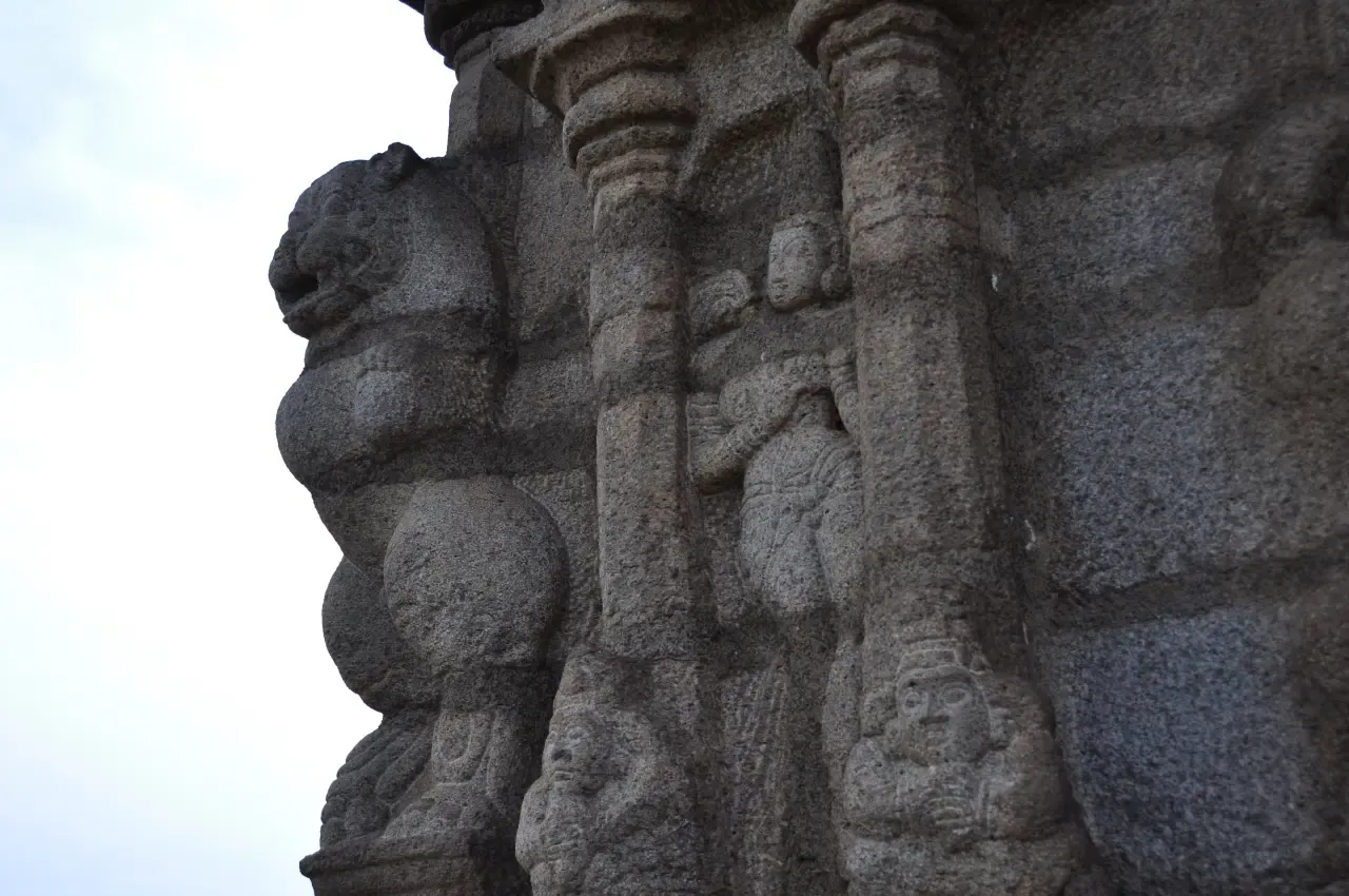 Image 48