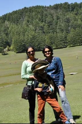 2014 Apr. Himachal Day 11