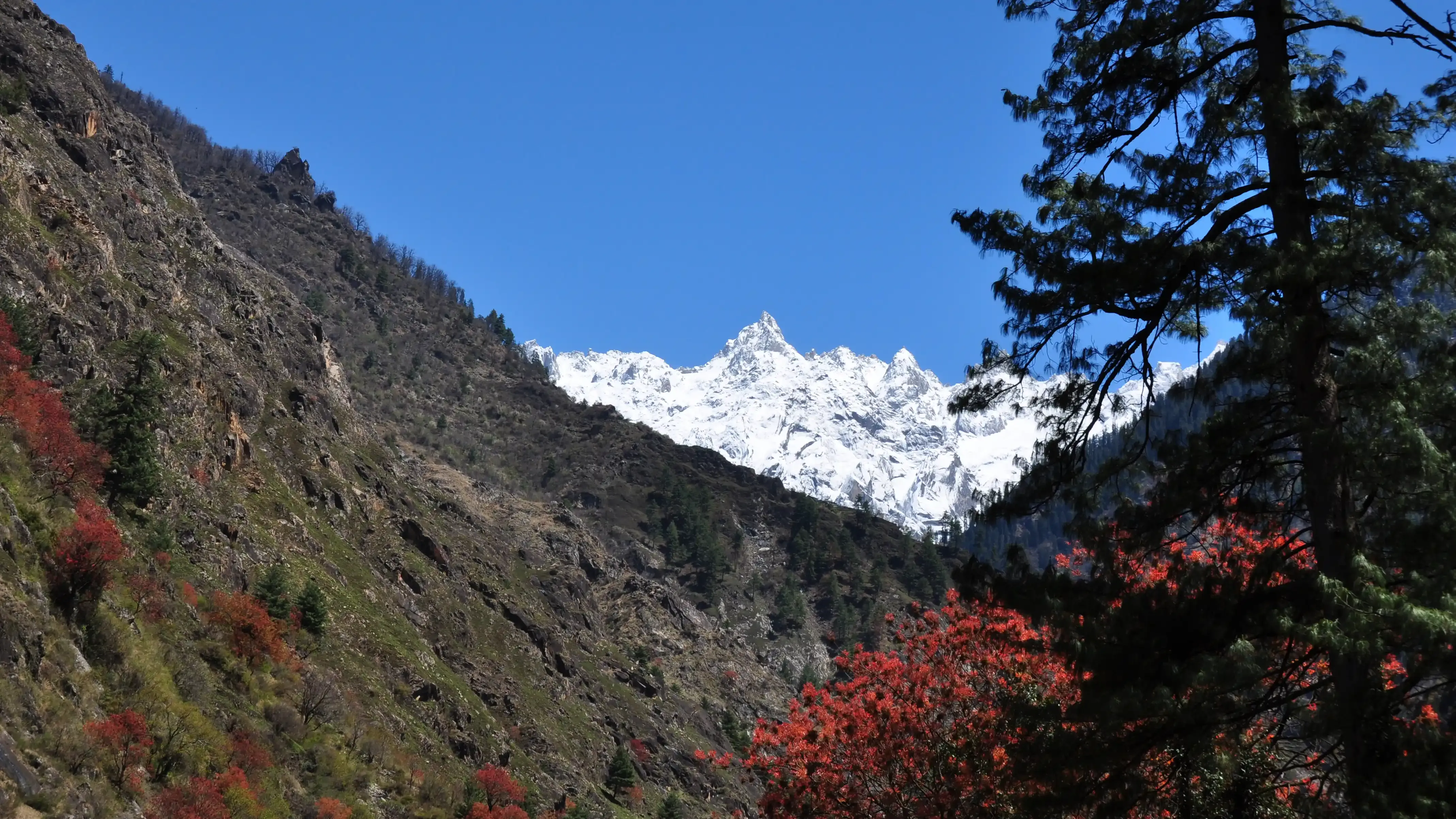 Himachal Pradesh