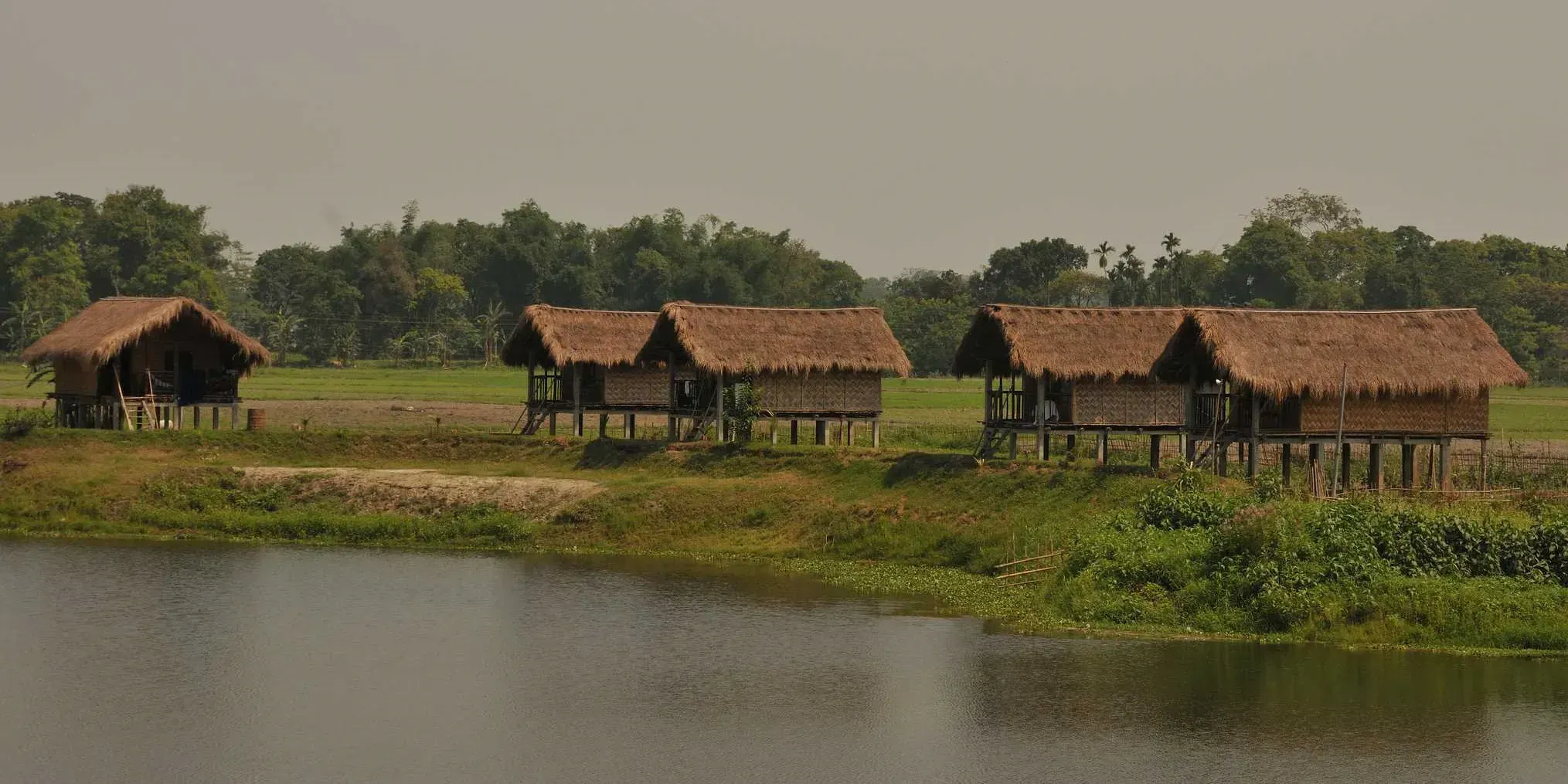 Bambo houses