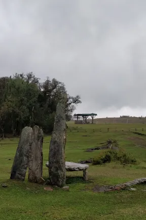 2018 Apr. Meghalaya II