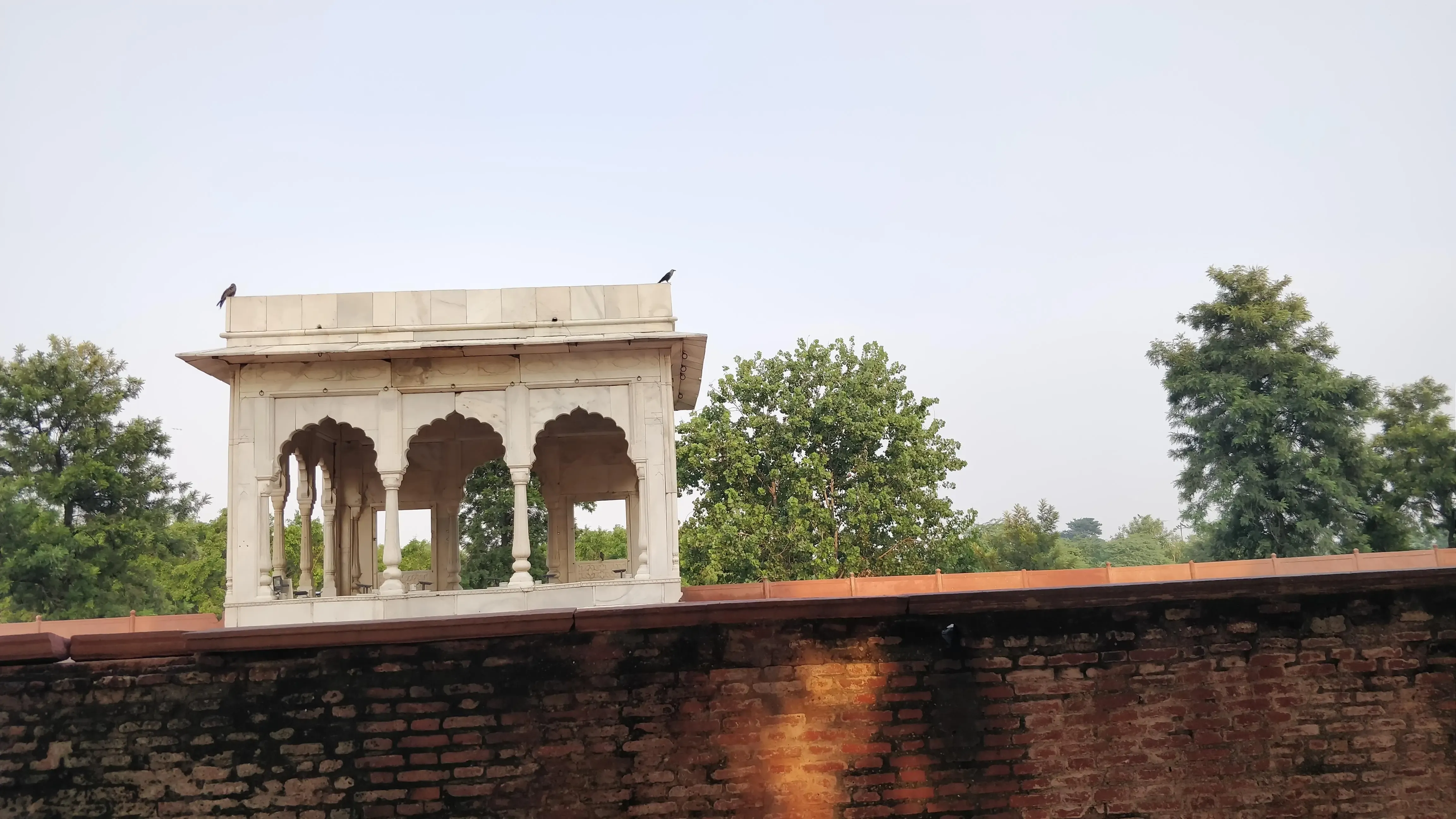 Image 12