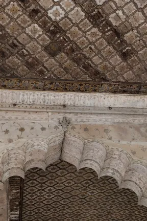 Image 15