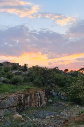 2021 Oct. Jawai - Bera 