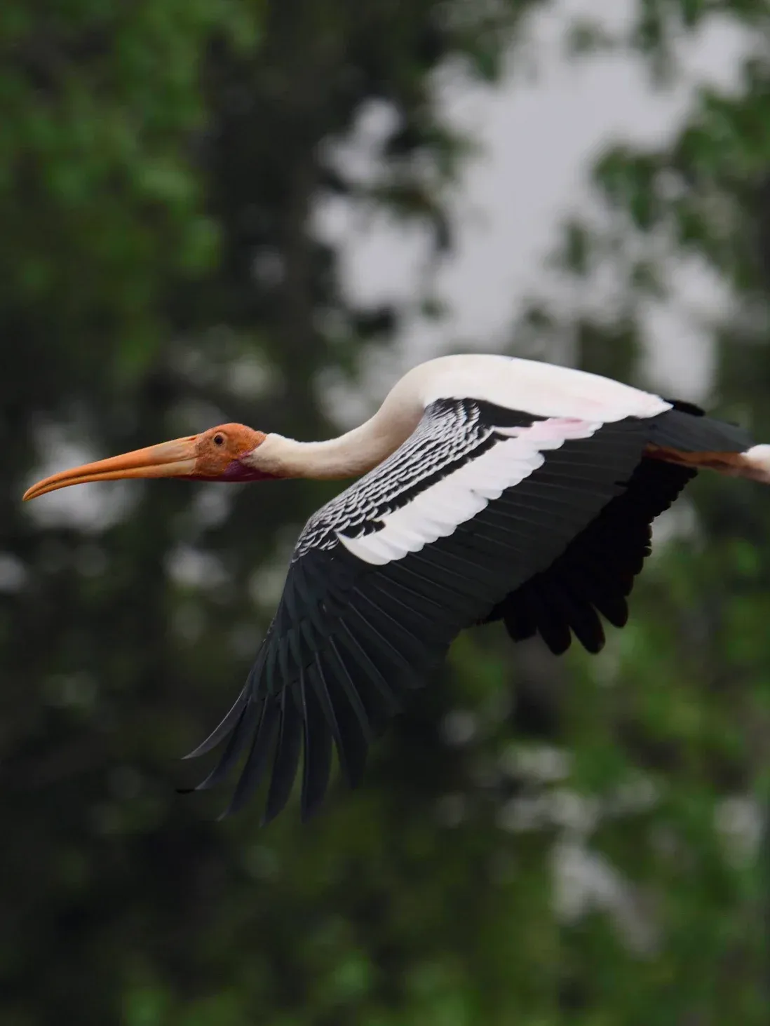 2021 March Karnataka