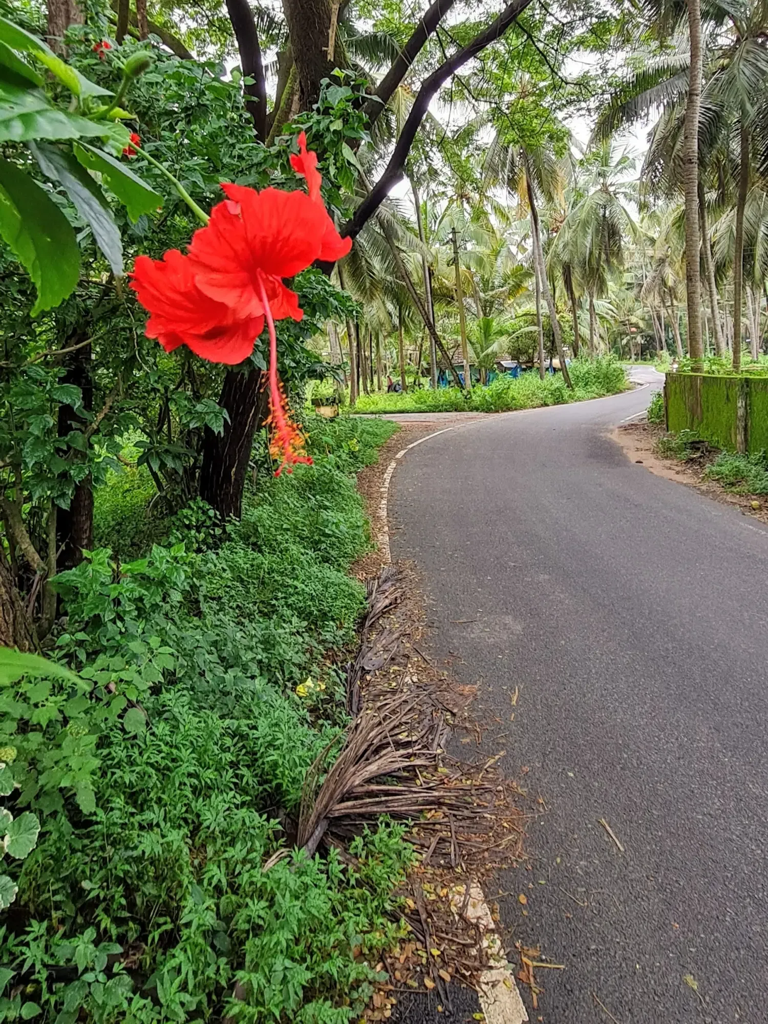 2021 Sep. Udupi