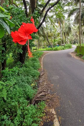 2021 Sep. Udupi