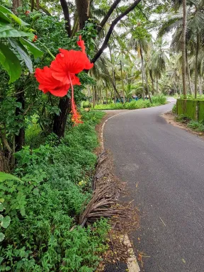 2021 Sep. Udupi