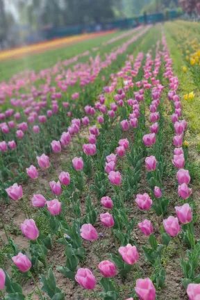 2022 April Kashmir 1