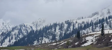 Gulmarg