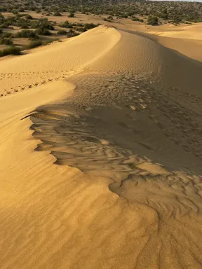 Drive from Jaisalmer to Longewala border