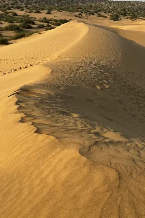 Drive from Jaisalmer to Longewala border