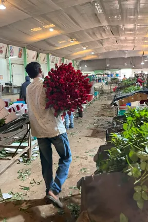 2023 Feb Tanflora - Bangalore