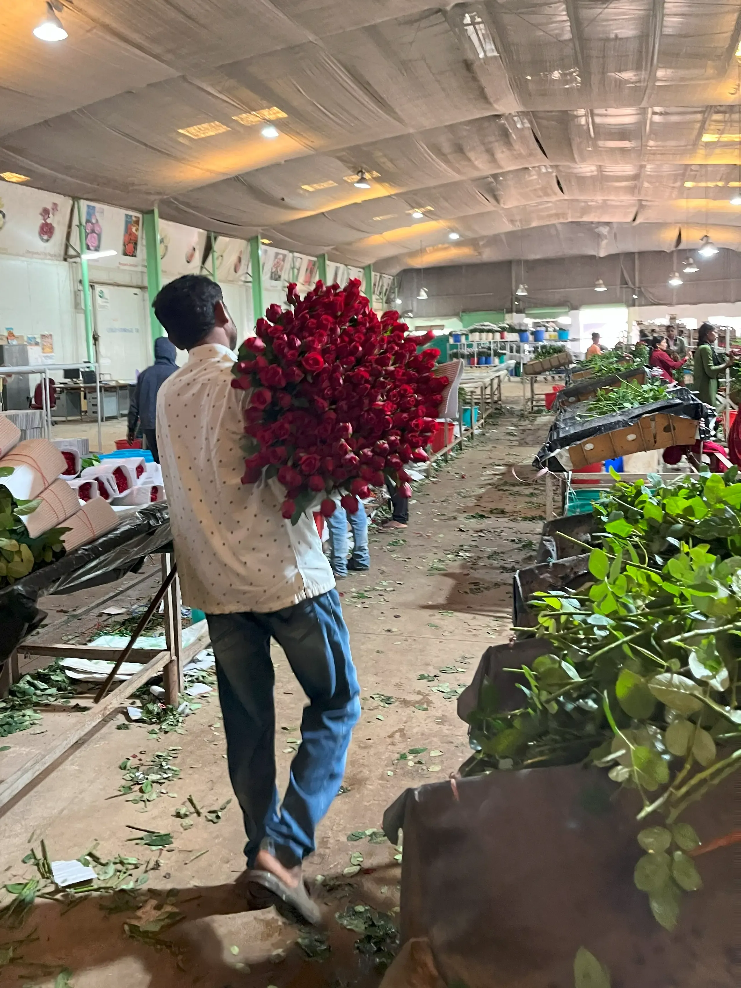 2023 Feb Tanflora - Bangalore