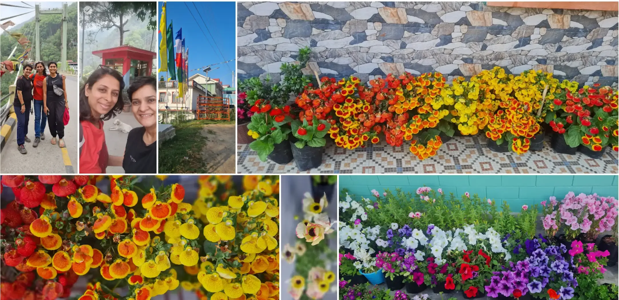 Day with flowers