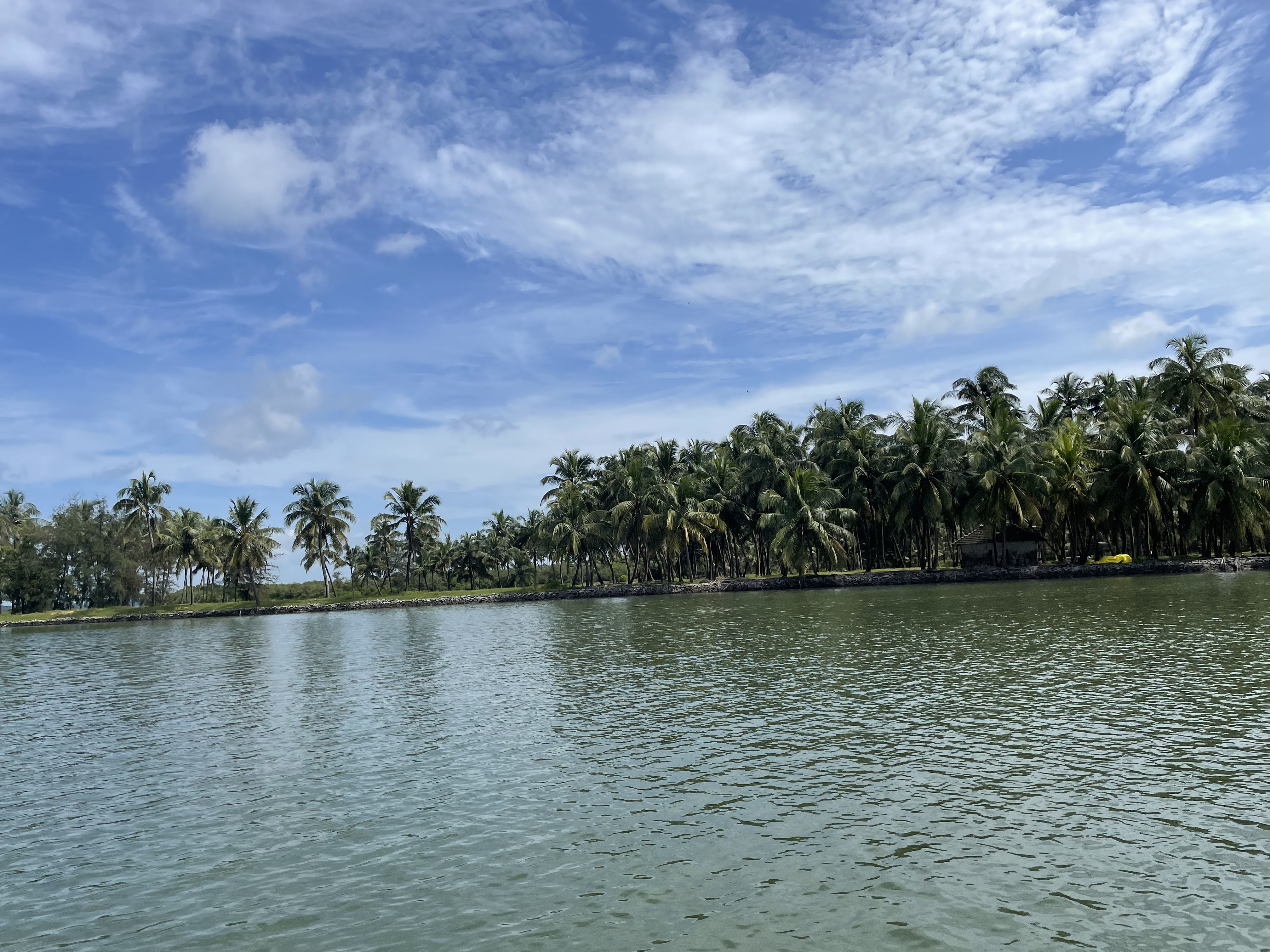 Swarna river view from the boat