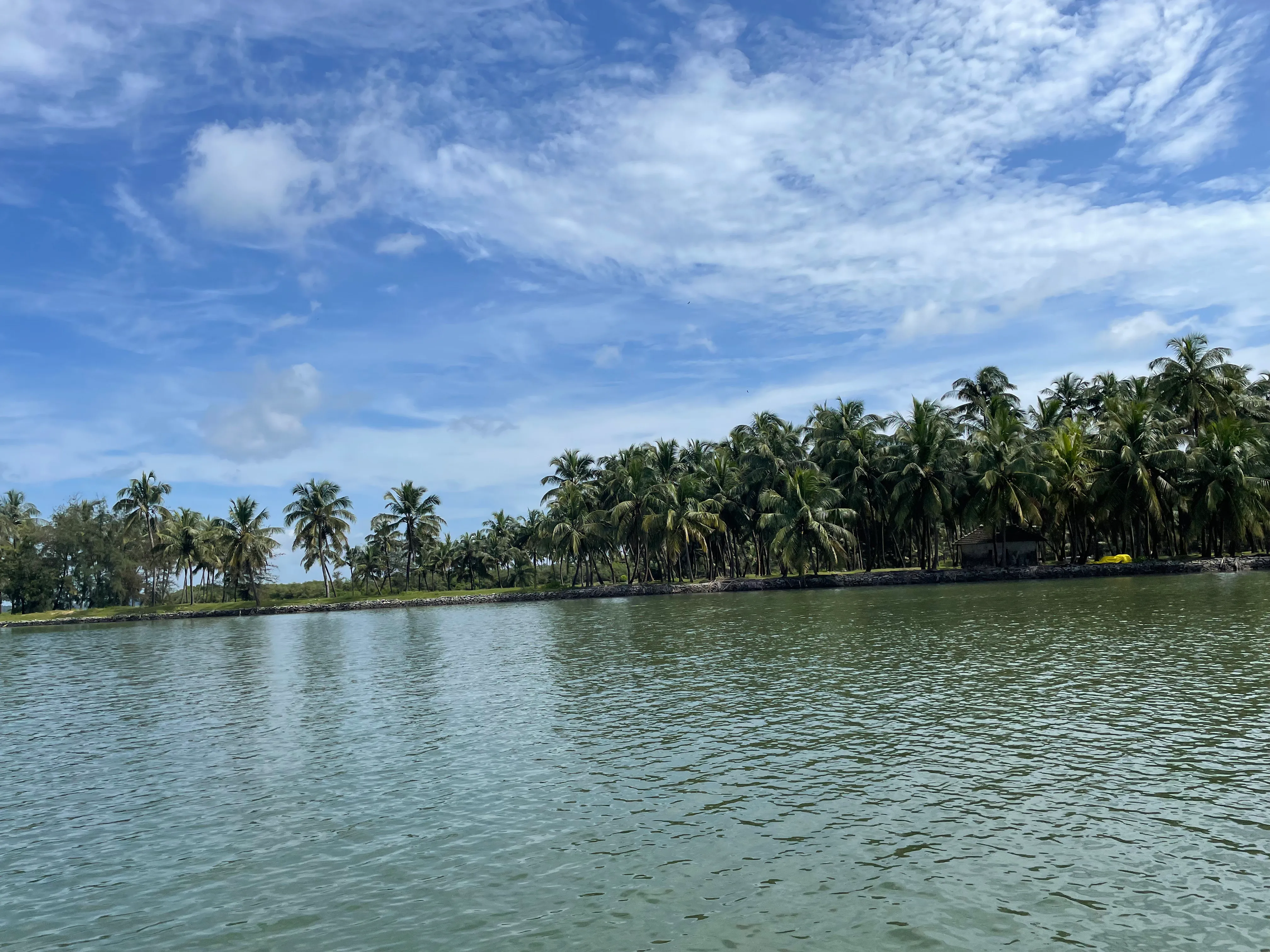 Swarna river view from the boat