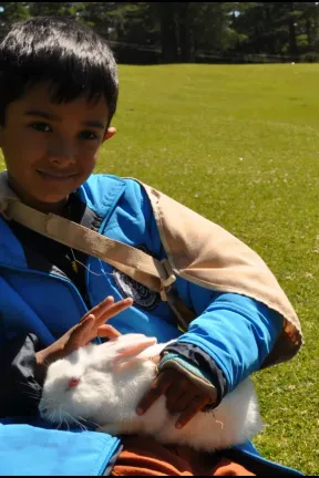 aarush with rabbit picture time