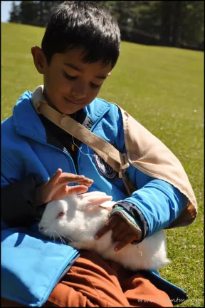 aarush with rabbit