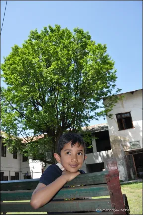 aarush