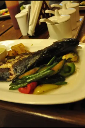 beas river trout