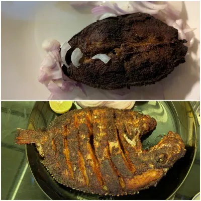 Image collage fish