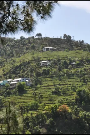 hill