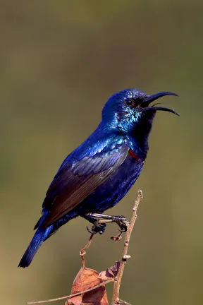 2022, Karnataka