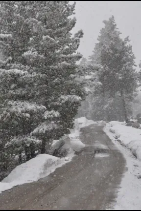 road with snowfall