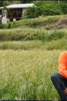 santanu next to wheat field