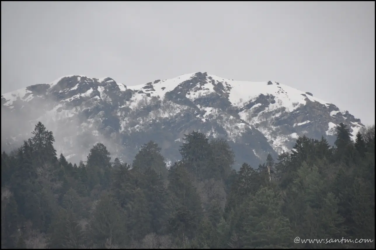 Image 45