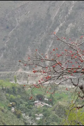 sutlej river valley 02