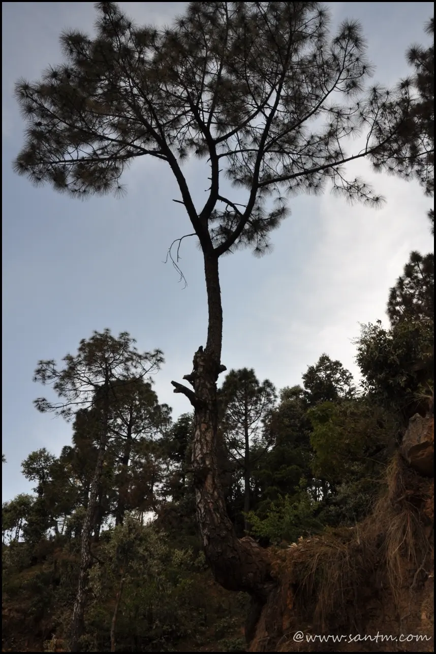 Image 13